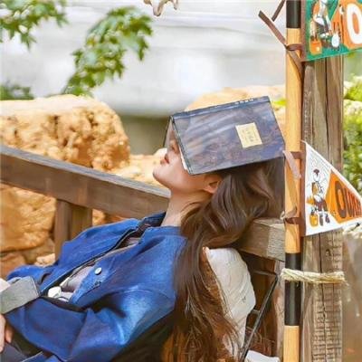 冒牌刺客 在线观看